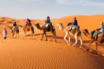 Merzouga Desert