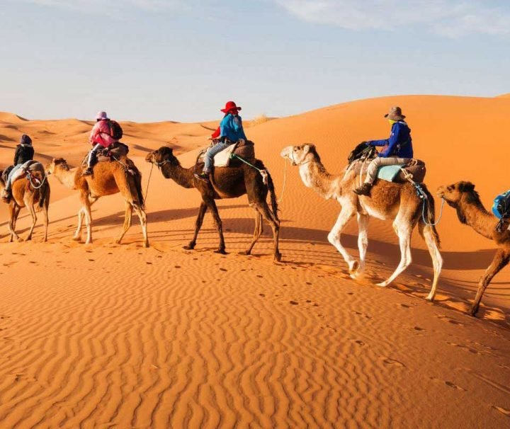 Merzouga Desert