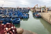 Essaouira day trip