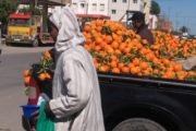 moroccan market