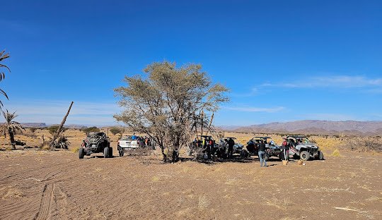 4x4 Desert Safaris